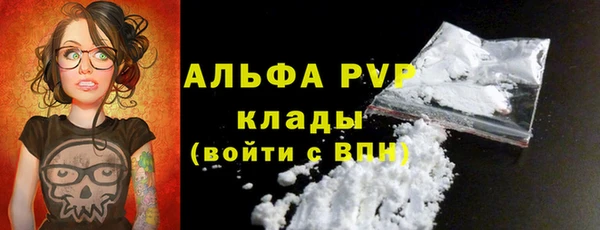 сатива Богородицк