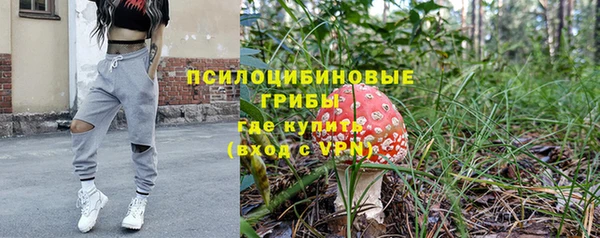 сатива Богородицк