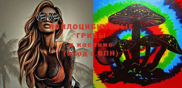 сатива Богородицк