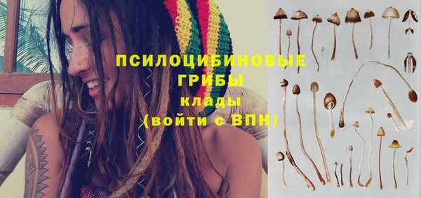 сатива Богородицк