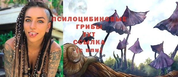 сатива Богородицк