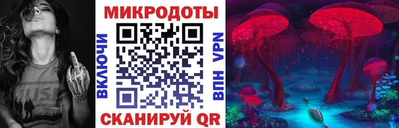 площадка официальный сайт  даркнет сайт  MEGA сайт  Можга  Галлюциногенные грибы Psilocybe 
